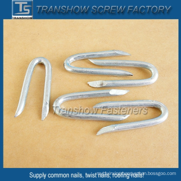 65mn Steel Galvanized U Shaped Nails